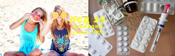 крисы Баксан