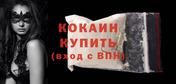 крисы Баксан