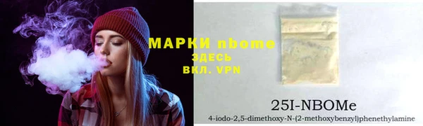 крисы Баксан