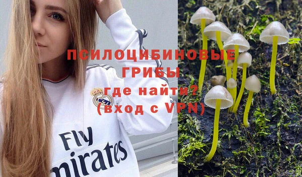 твердый Балабаново
