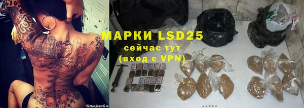 крисы Баксан