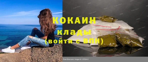 крисы Баксан