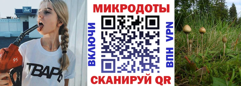Псилоцибиновые грибы мицелий  продажа наркотиков  мега сайт  Рудня 